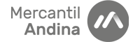 andina seg